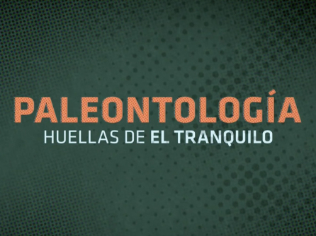 Paleontología: Huellas de El Tranquilo