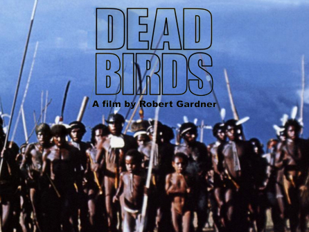 Aves muertas