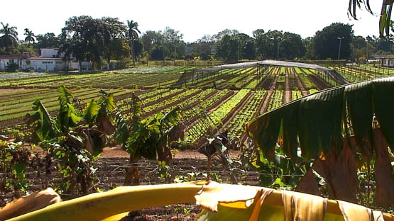 La Federación Agraria impulsa una Ley de Viviendas Rurales para frenar el desarraigo