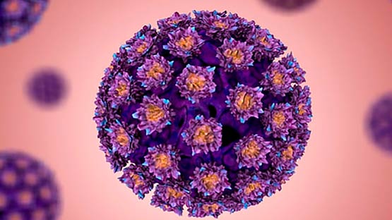 ¿Qué es el HPV?