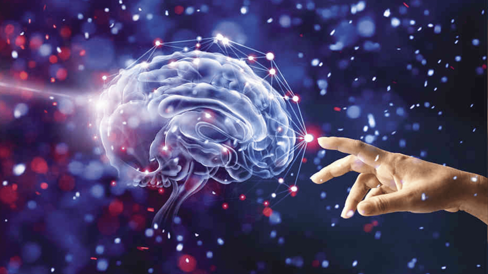 Un estudio mostró las edades en las que más cambia el cerebro humano