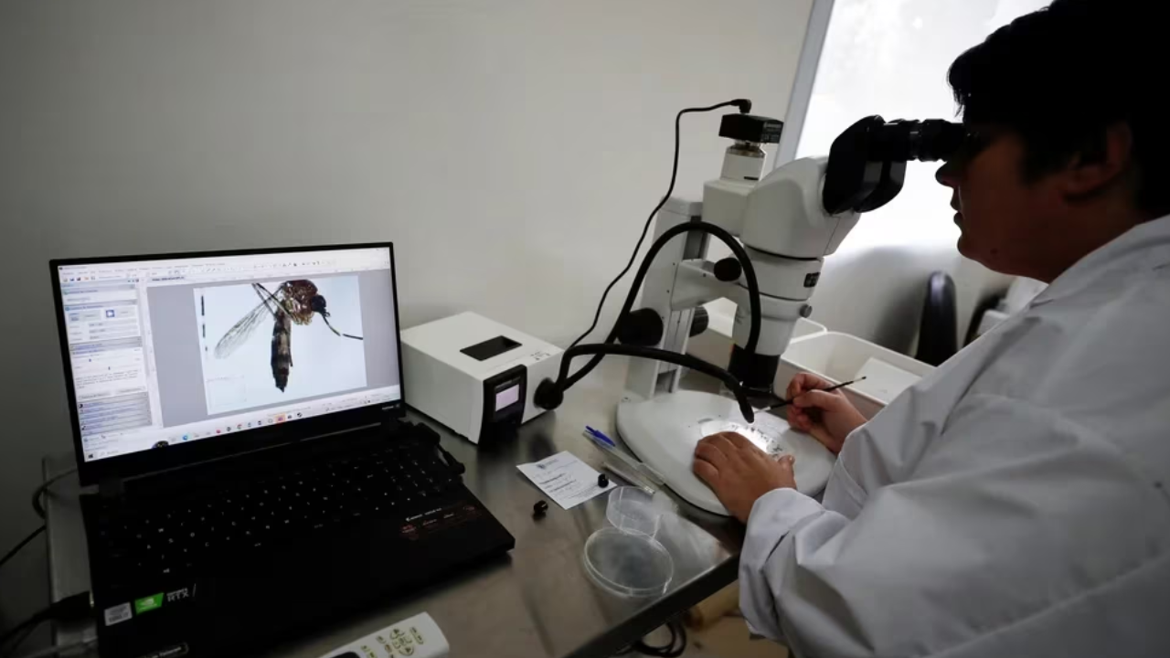 Reportan una baja significativa en los casos de dengue