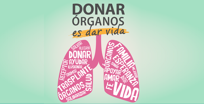 ‘Desde la Vida’ habla de la donación de órganos y la accesibilidad electoral