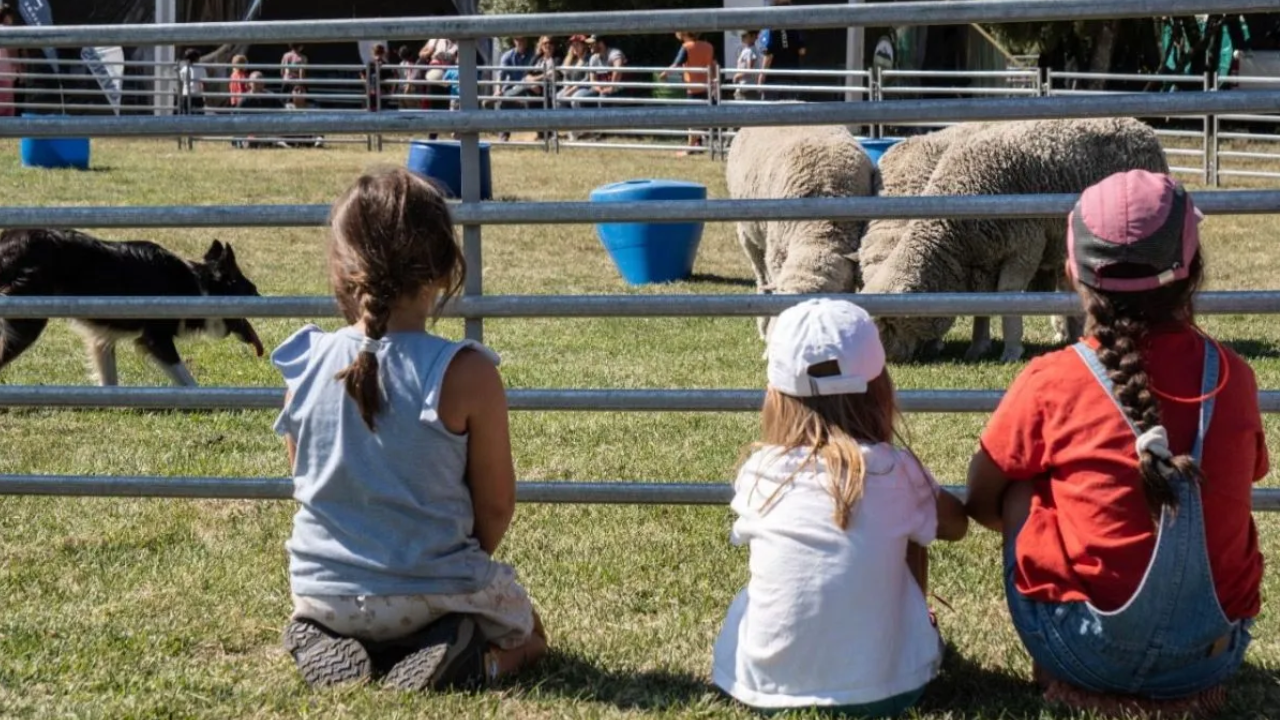 Con varias propuestas, continúa la Expo Rural 2024 en Palermo