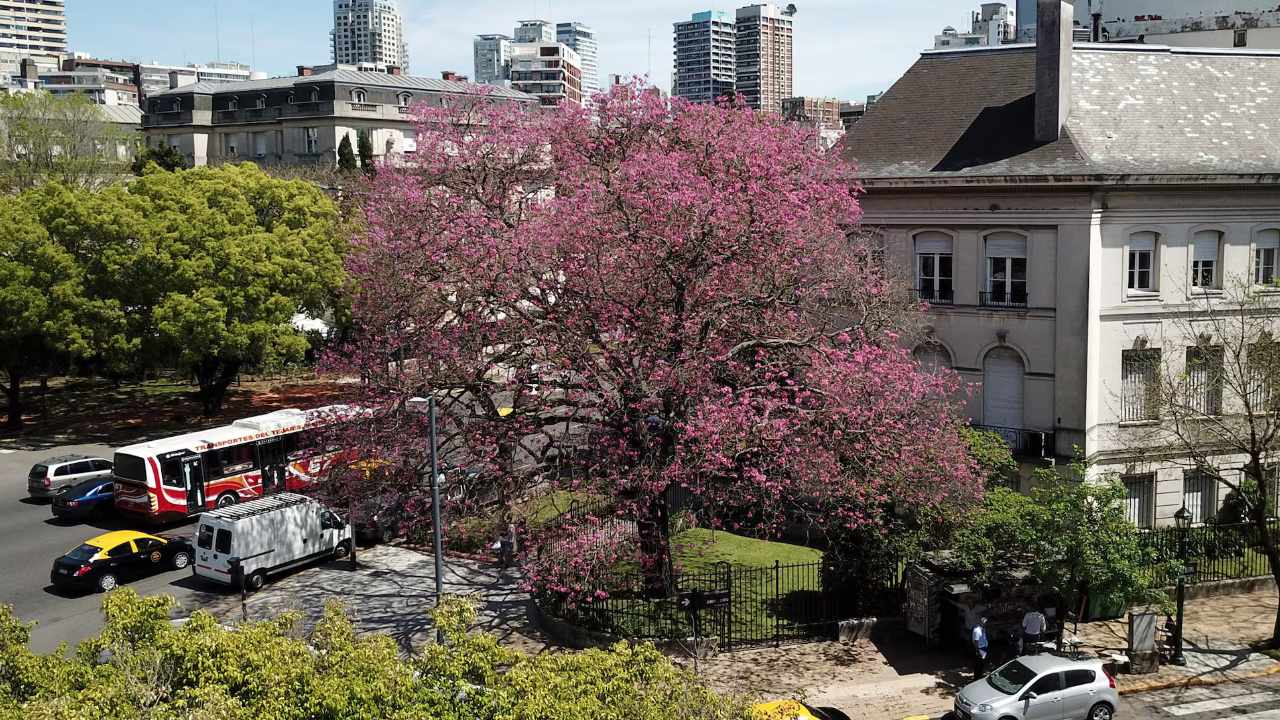 Ocho provincias con alerta meteorológica: ¿Cuándo va a llover en Buenos Aires?
