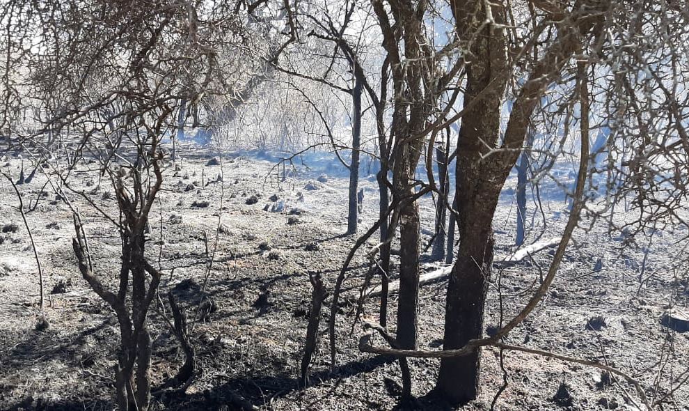 El Senado declara la emergencia ambiental, económica y habitacional para las zonas afectadas