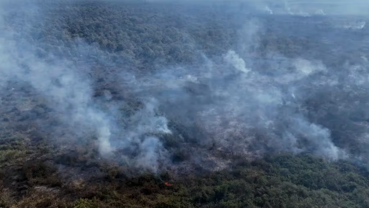 Qué es la &#8220;lluvia negra&#8221; y en qué provincias argentinas podría registrarse