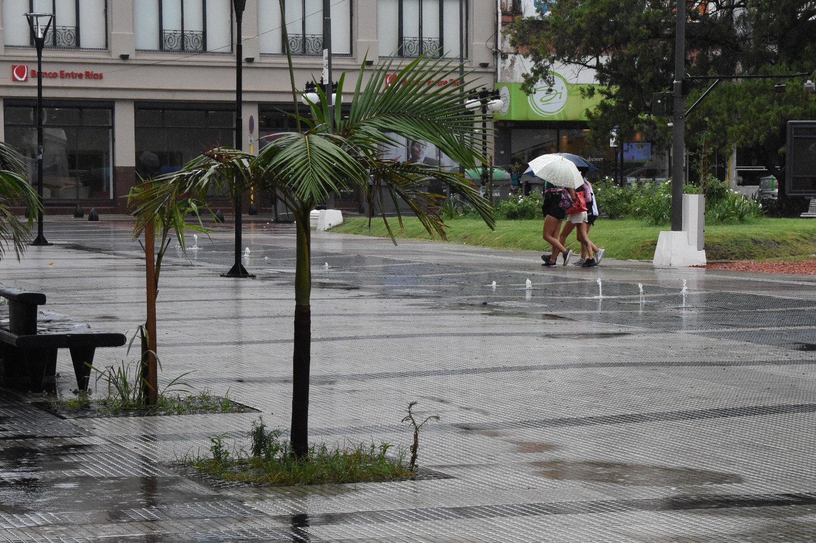 Se viene la tormenta: alerta meteorológica en 10 provincias