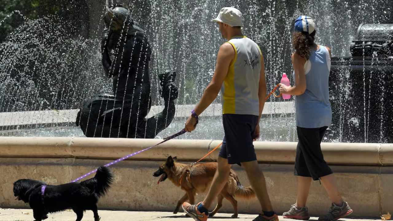 Ola de calor: Buenos Aires y 17 provincias bajo alerta por temperaturas extremas