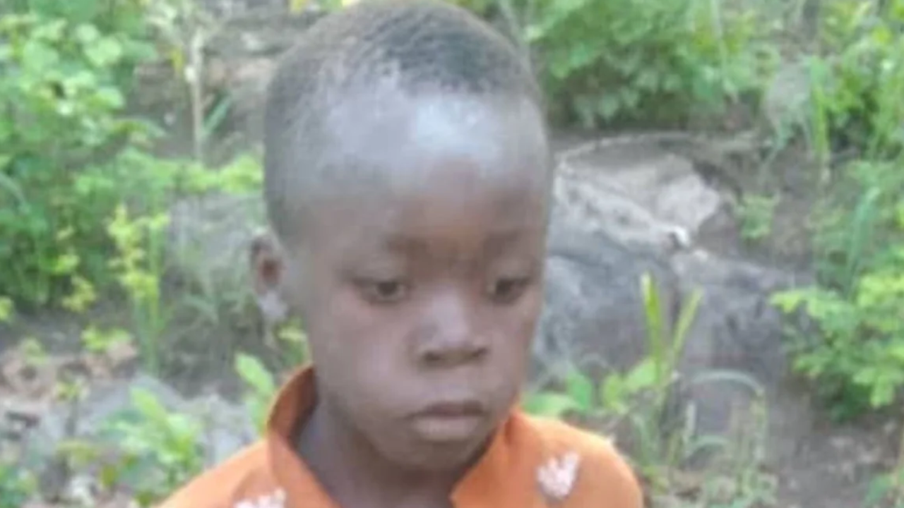 Zimbabue: un niño perdido de 7 años sobrevivió cinco días en un parque nacional repleto de leones