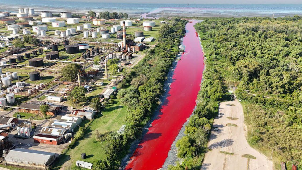 Por qué un arroyo se tiñó de rojo en Avellaneda