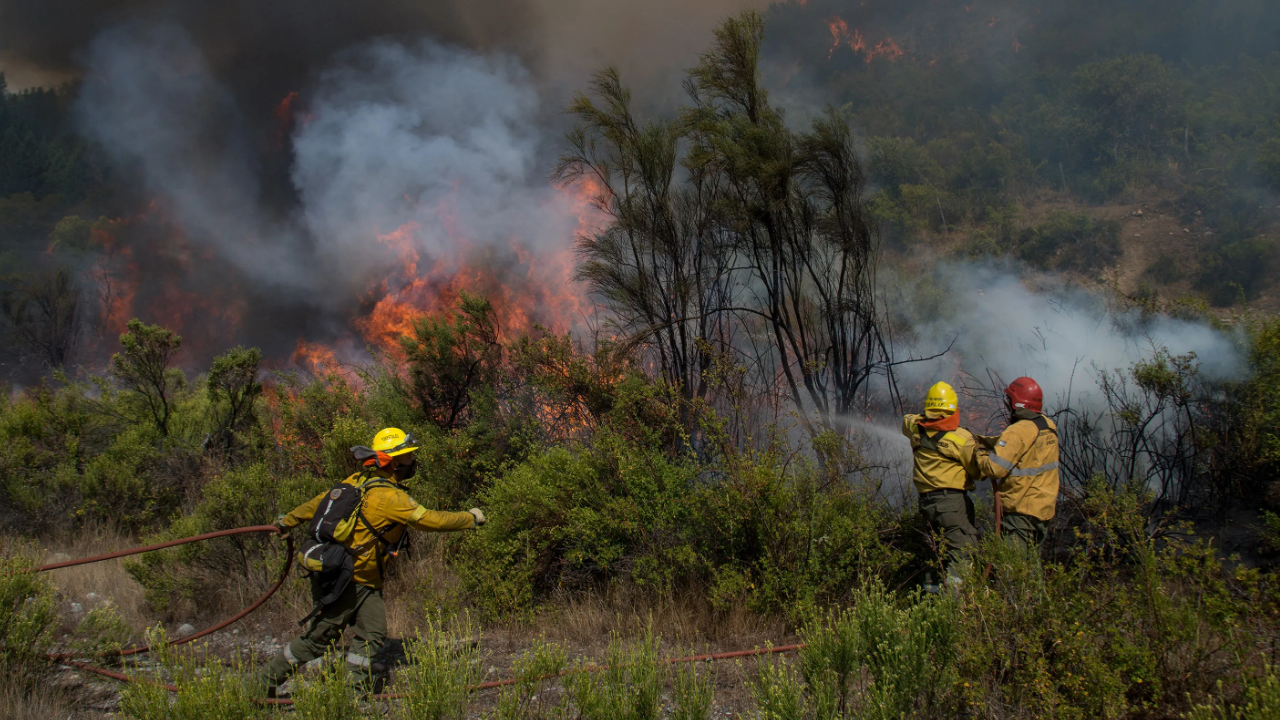 Incendios en El Bolsón: el viento complicó el trabajo de los brigadistas