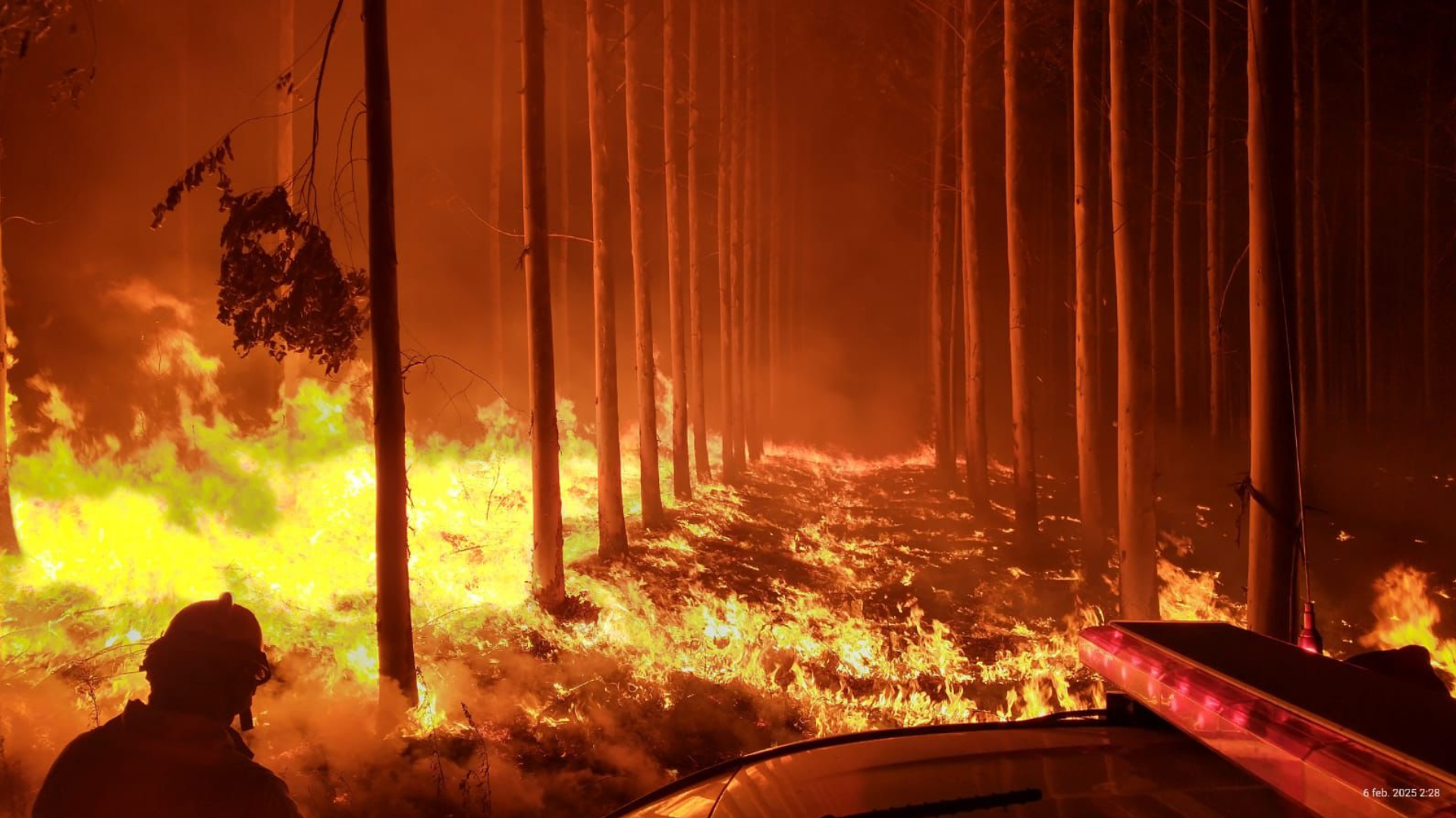 Incendios en Corrientes: se quemaron más de 200.000 hectáreas en lo que va del 2025