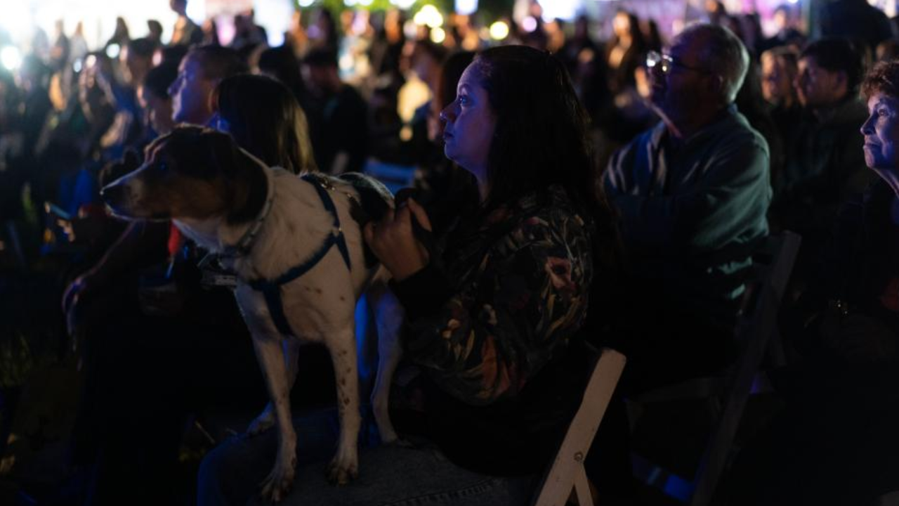 El “Festival de Canes” combina el amor por el cine y los perros