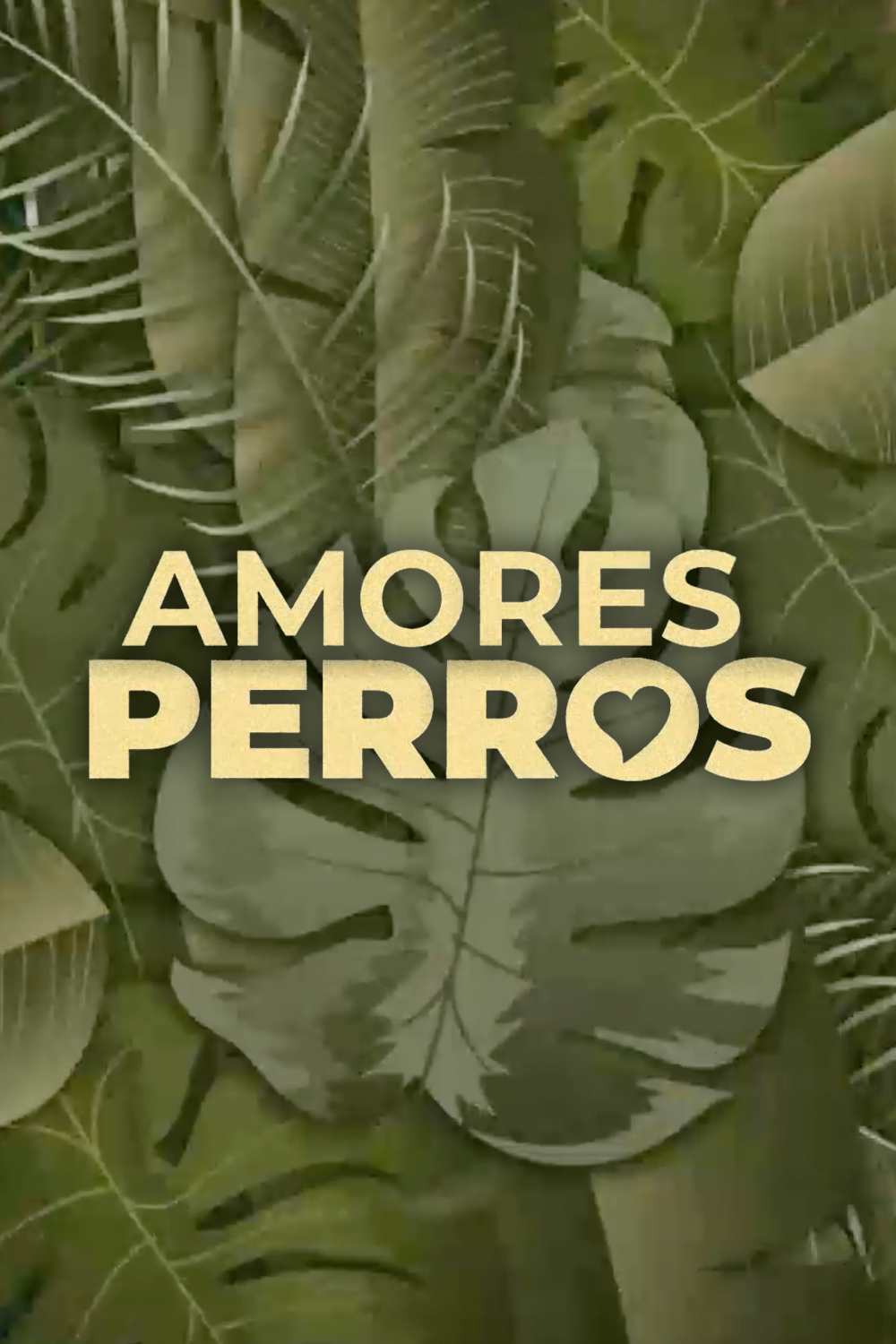 Amores perros