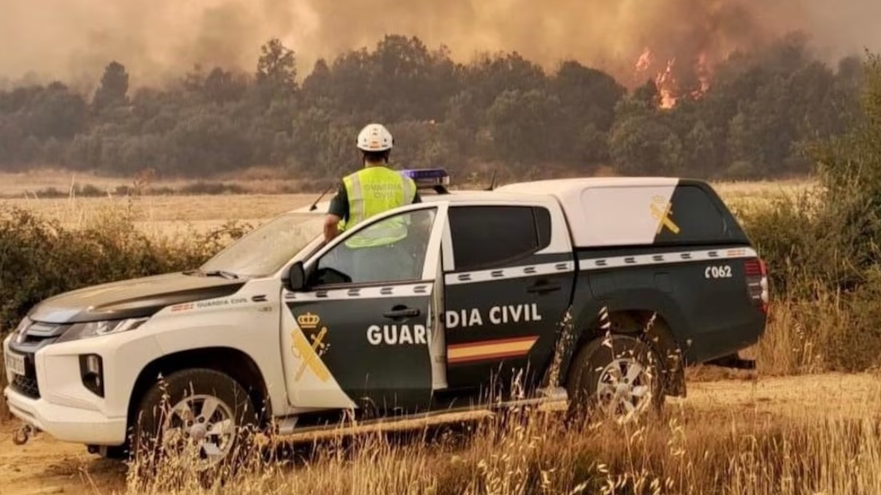 Los daños por incendios forestales en la UE se cuadruplicaron este año
