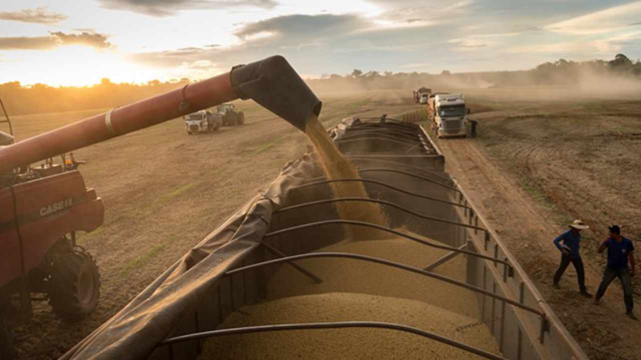 Con cifras récord en julio, el campo liquidó casi US$20.000 millones en lo que va del año