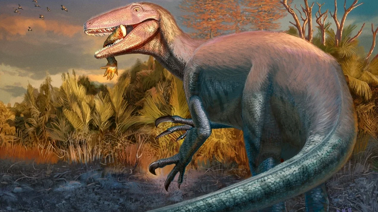 Descubrieron en Chubut un dinosaurio carnívoro que habría sido de los últimos en extinguirse