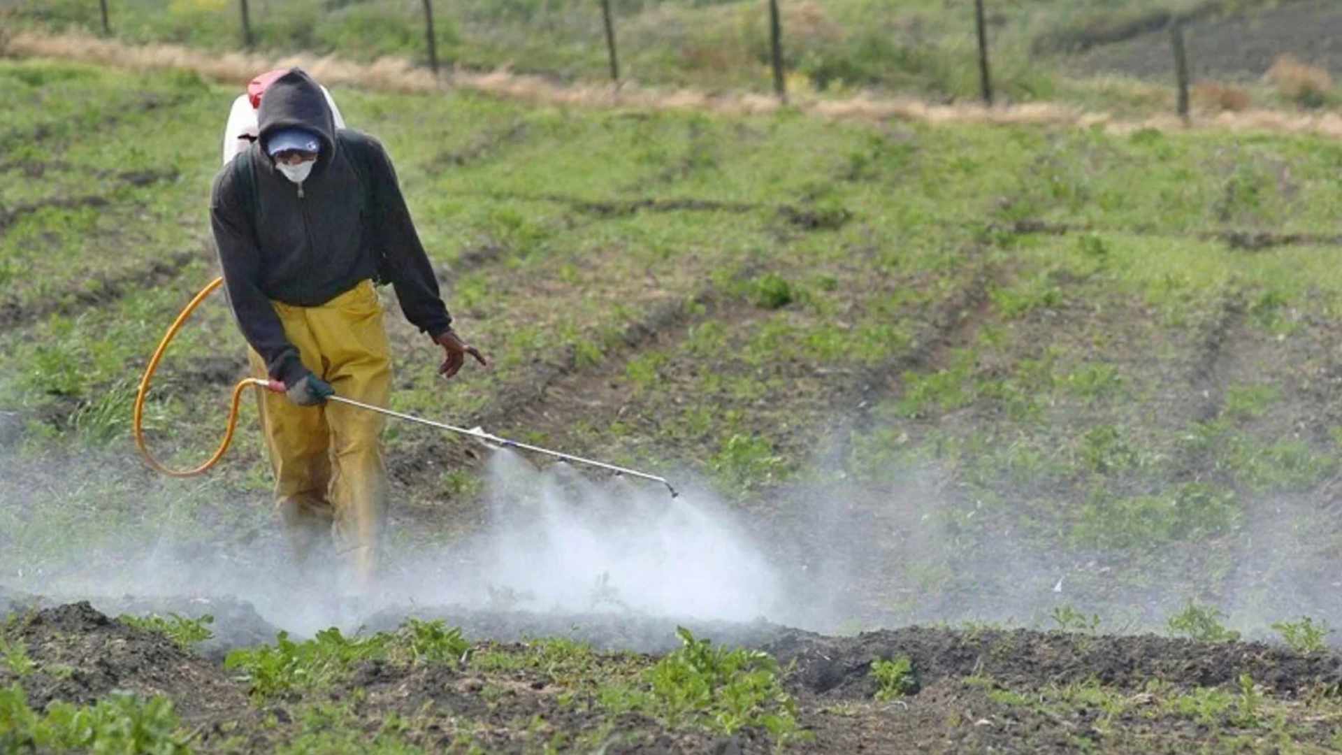 Córdoba: ordenaron el cese de fumigaciones con agroquímicos