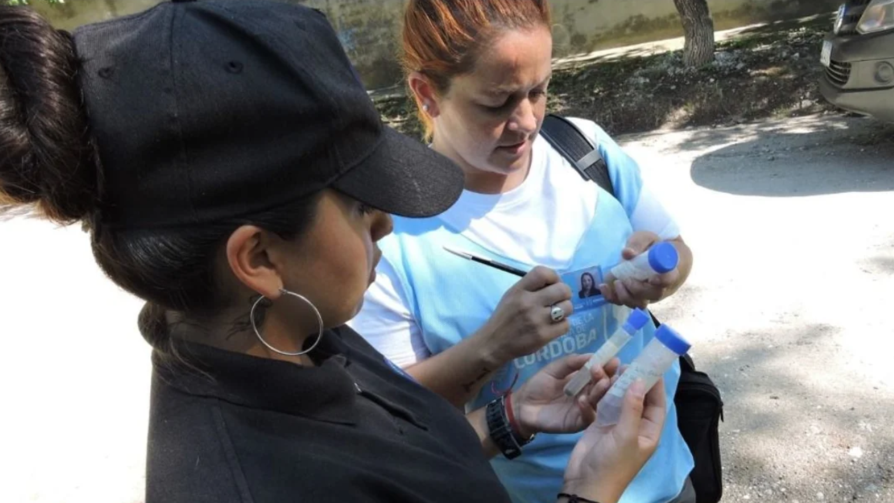 Dengue en Córdoba: un monitoreo arrojó un alto riesgo de transmisión