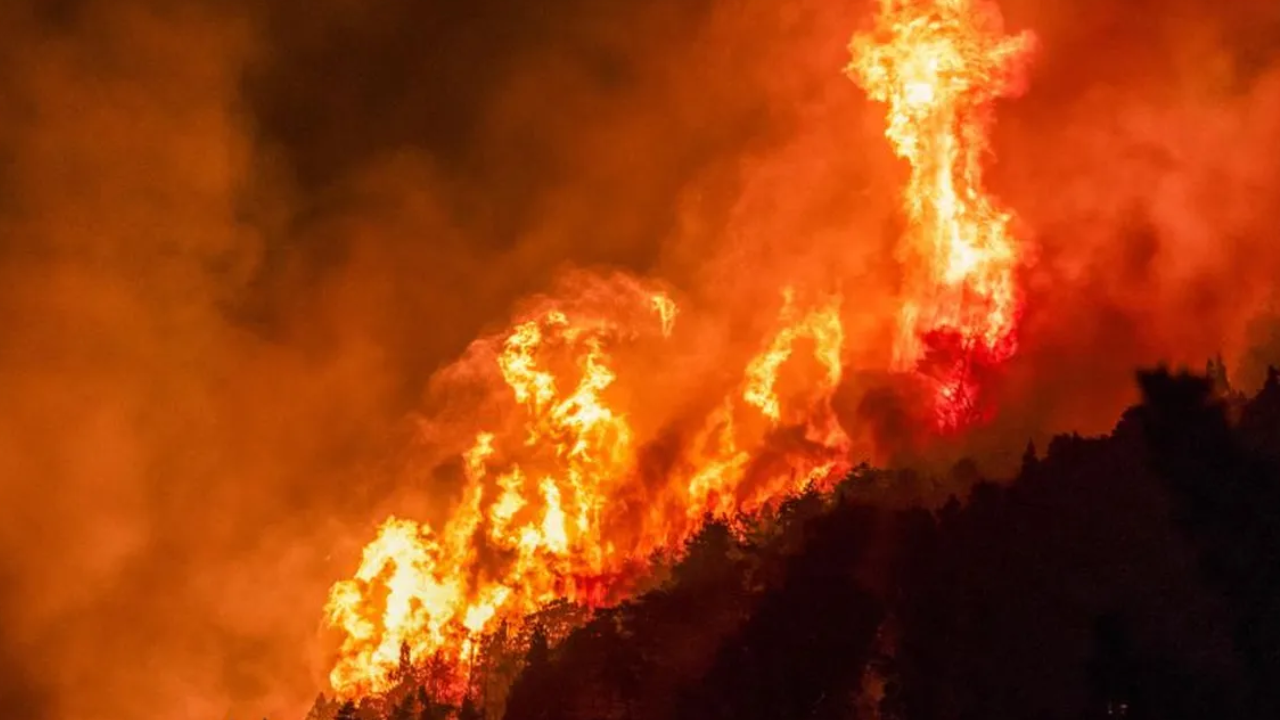 Los incendios en el sur arrasaron una superficie de bosques equivalente a la Ciudad de Buenos Aires