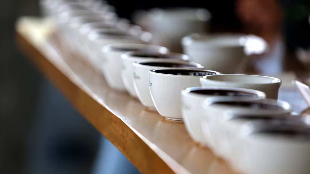 Beber más de una taza de café o té al día reduce el riesgo de demencia