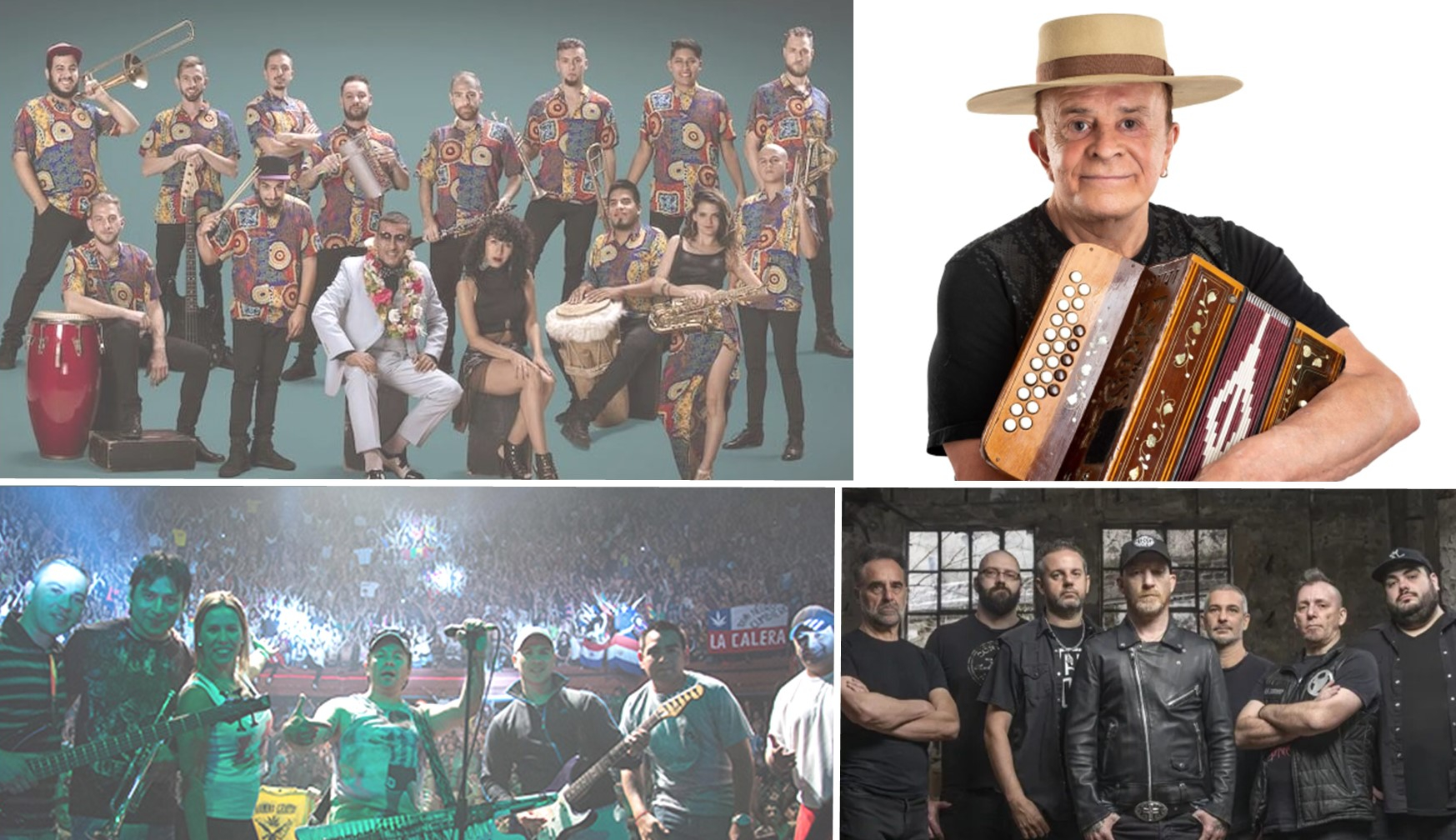 Entre Ríos celebra la Fiesta de la Apicultura