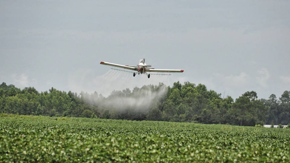 La Corte Suprema de EEUU estudia un pedido de Bayer para poner fin a demandas por uso de glifosato