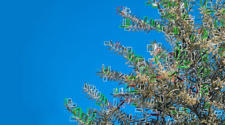 Un científico argentino diseñó un robot con IA para controlar plagas