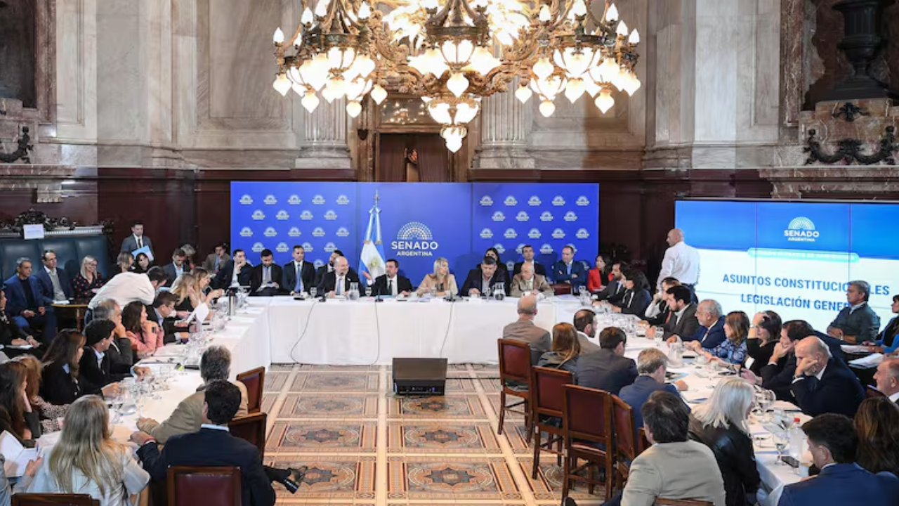 El Senado debate el proyecto de reforma de ley de Salud Mental