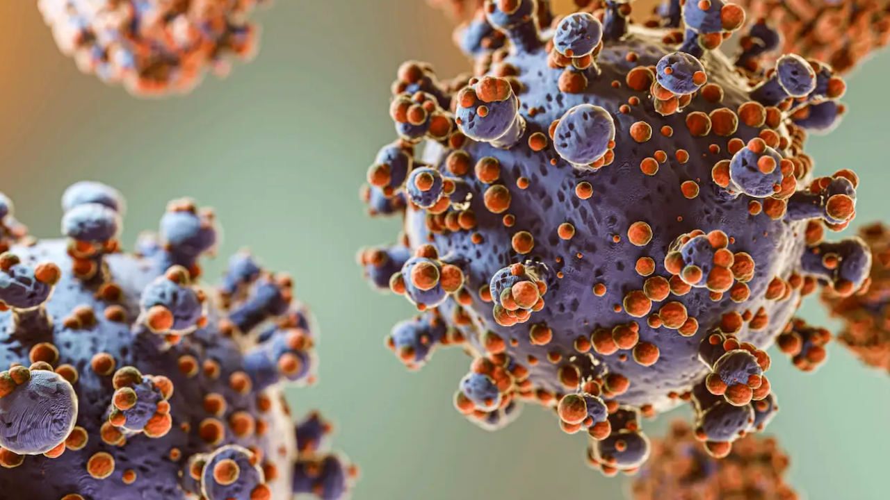 Hantavirus: el total de casos en Argentina asciende a 102