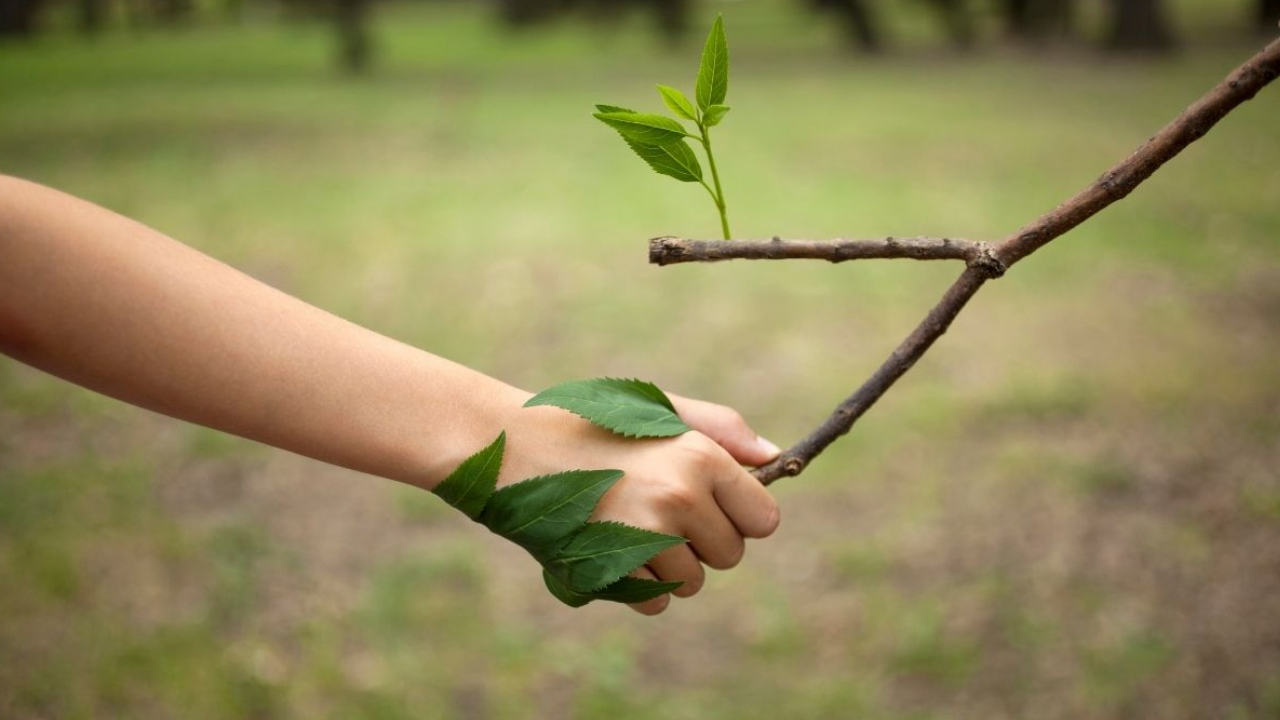Día Mundial del Medio Ambiente: desde cuándo y por qué se celebra