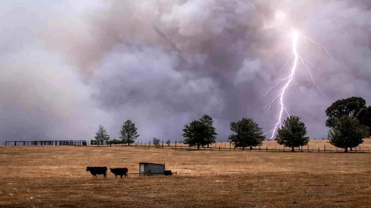 Argentina enfrentará “El Niño” más potente en décadas y ya se prepara para el impacto