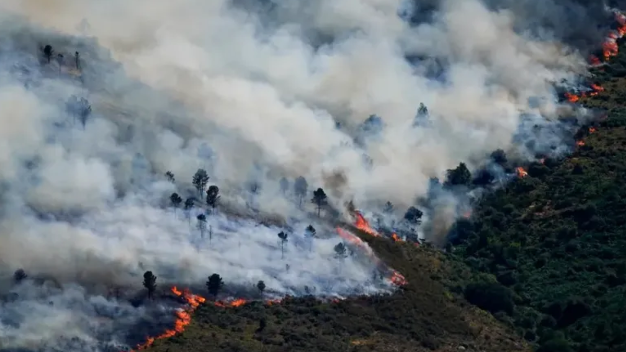 Los incendios avanzan sin control en España y Francia: hay más de 170.000 evacuados y miles de hectáreas arrasadas