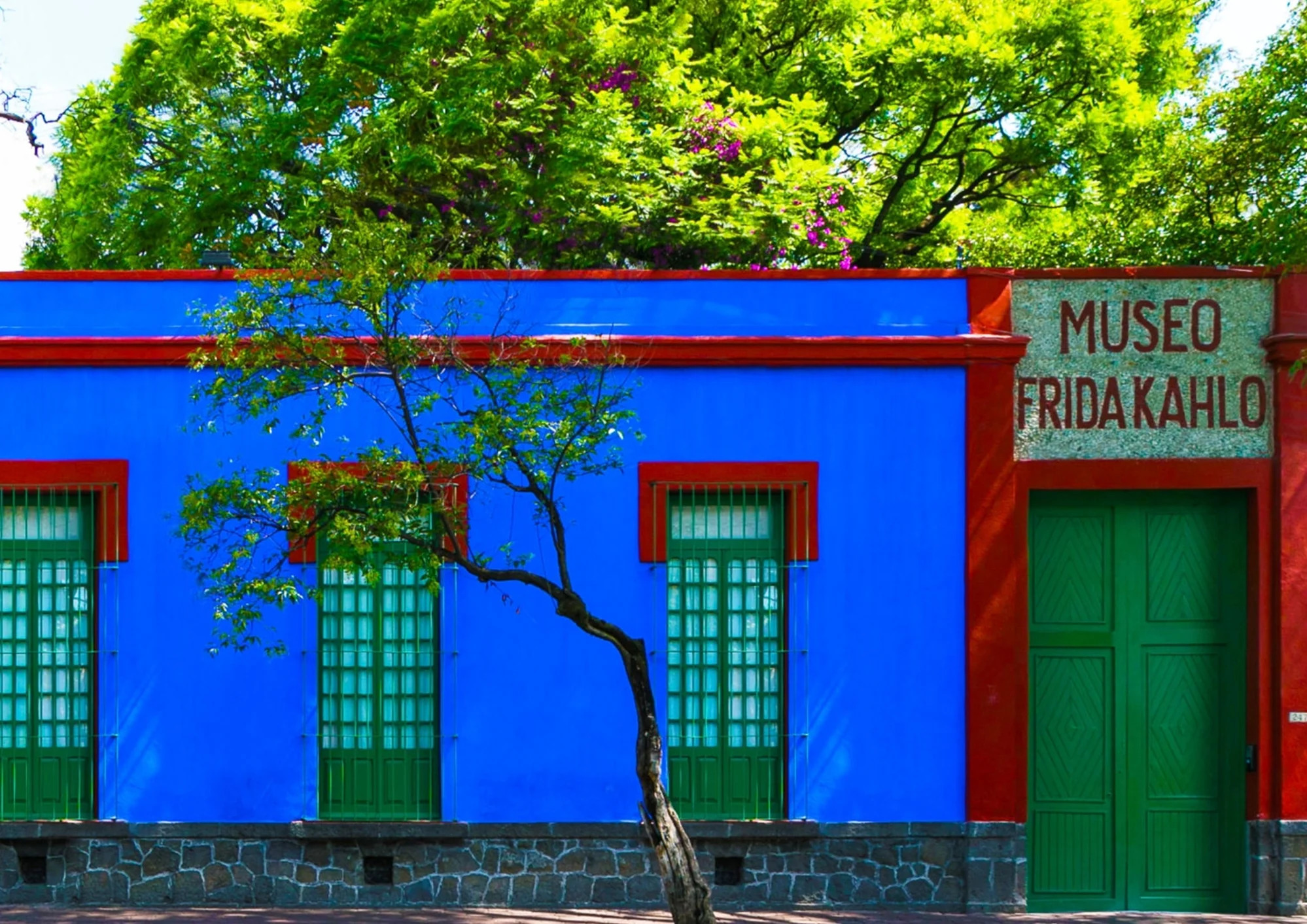 Llega “Viva Frida”, la gran muestra sobre la vida y obra de la artista mexicana