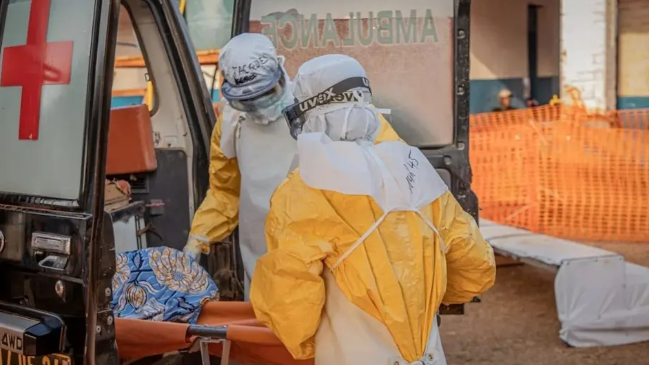 Congo: el brote de ébola ya dejó más de 700 muertos