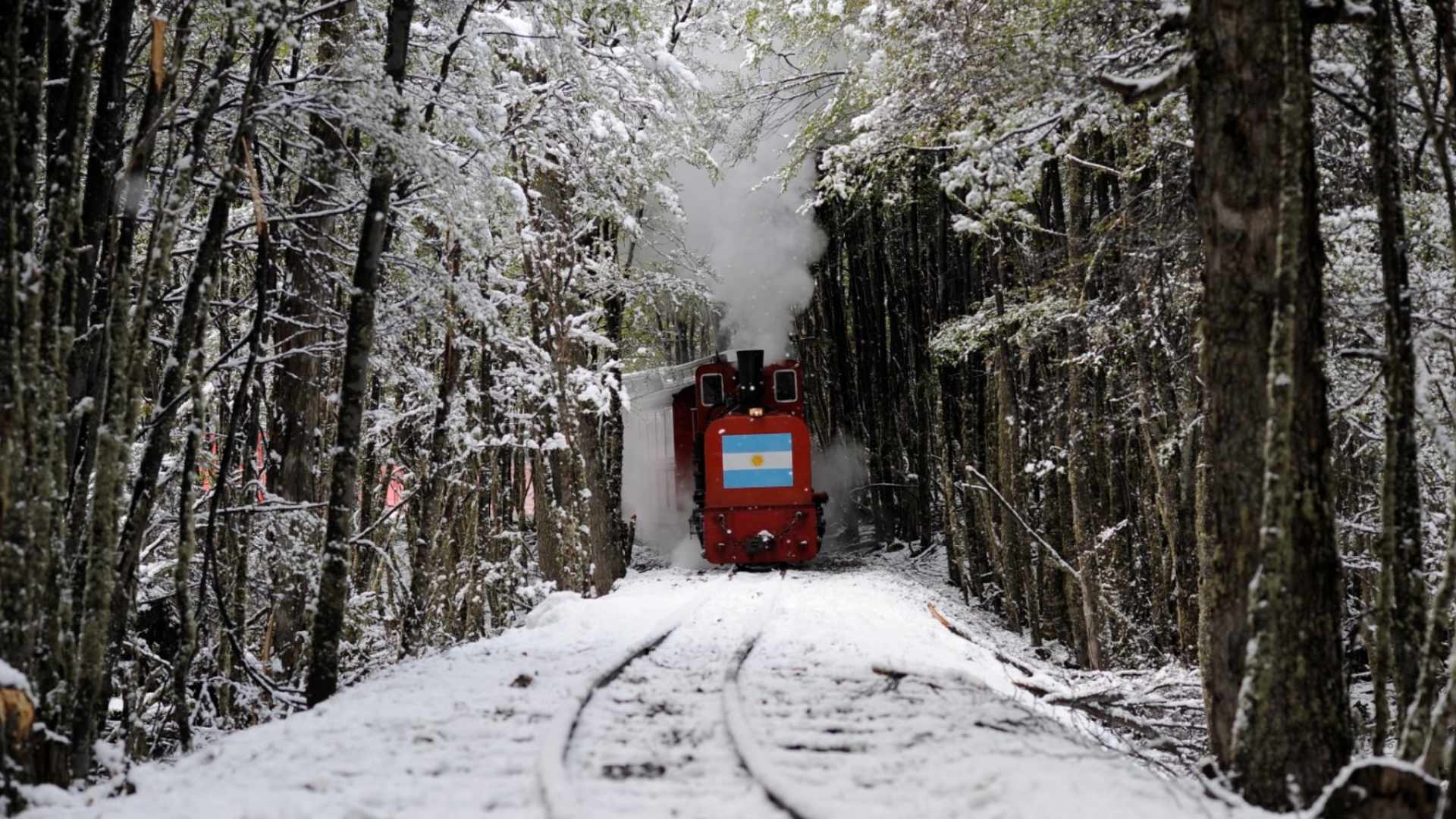 Tren del Fin del Mundo: una excursión especial para las vacaciones de invierno
