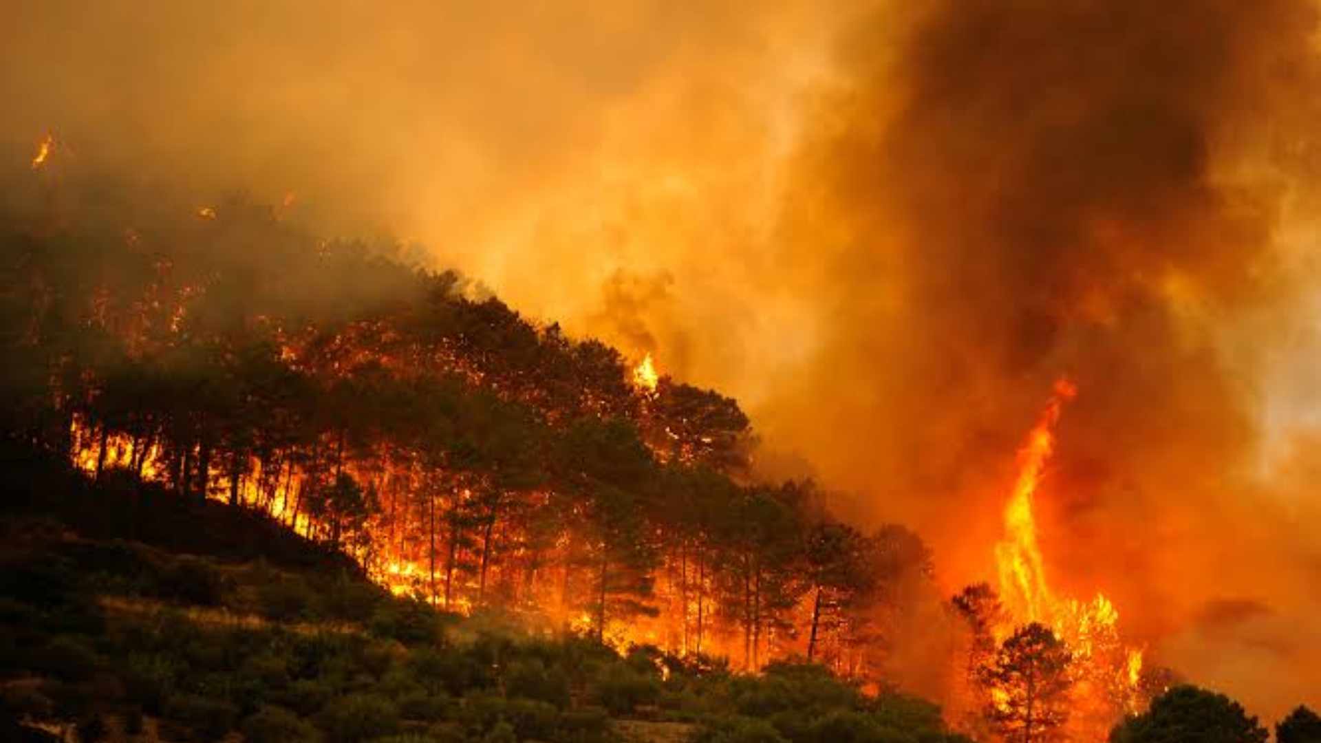 El gesto de Messi: donó 80 mil euros por los incendios en España