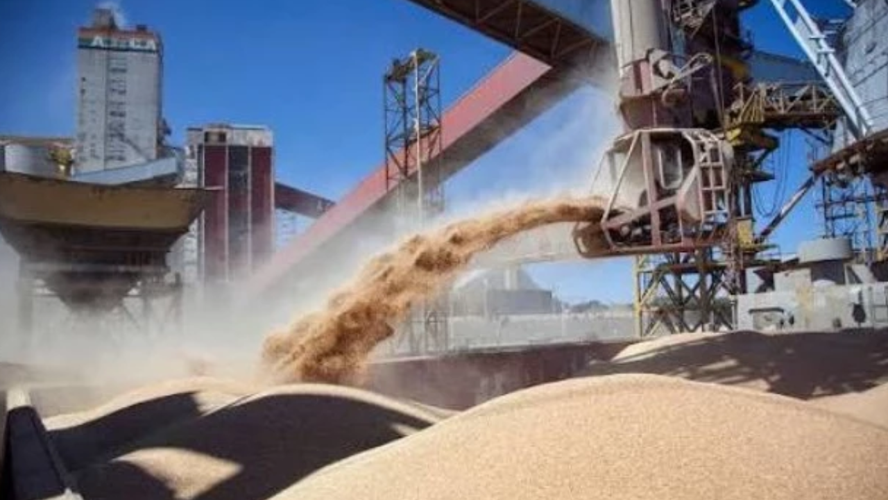 El agro proyecta exportaciones en el mayor nivel de la historia