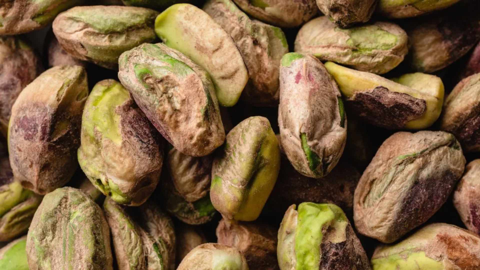 Crece la siembra de pistacho en Argentina y se esperan más inversiones