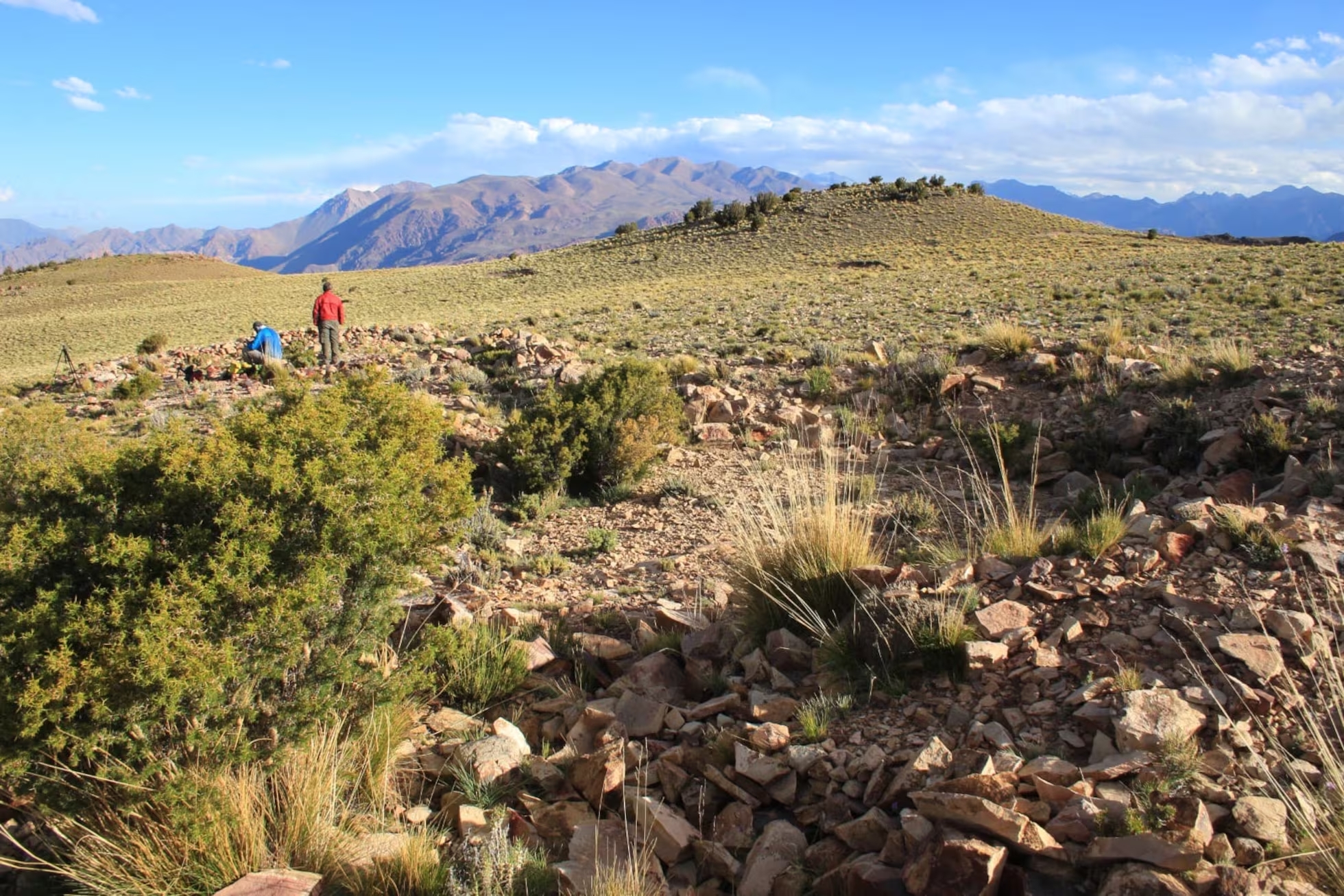 Mendoza: un geoglifo localizado por Google Earth podría pertenecer al periodo inca