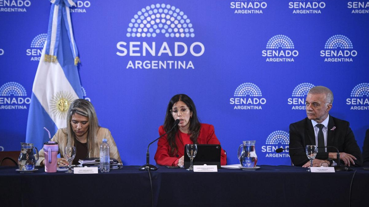 Avanza la reforma de la Ley de Salud Mental que habilita internaciones involuntarias y suma adicciones