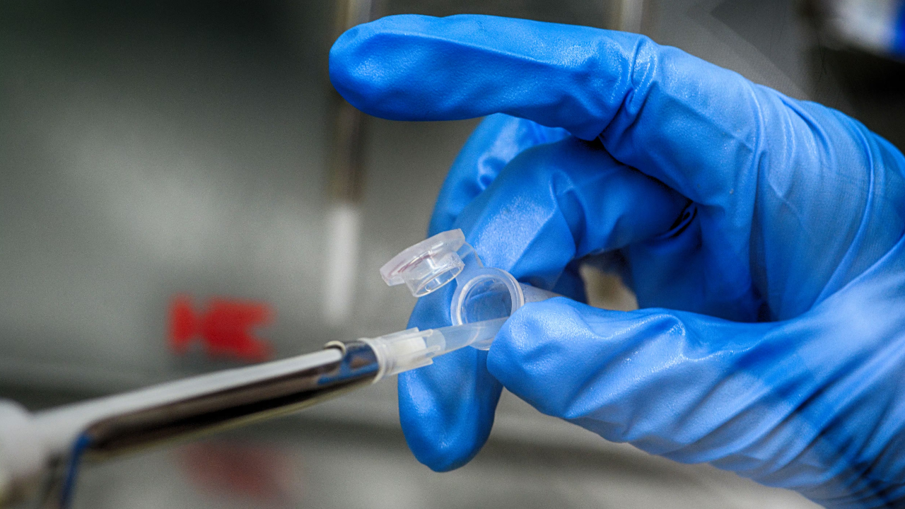 Muerte de una técnica de laboratorio rusa: qué es y cómo se contagia la peste neumónica