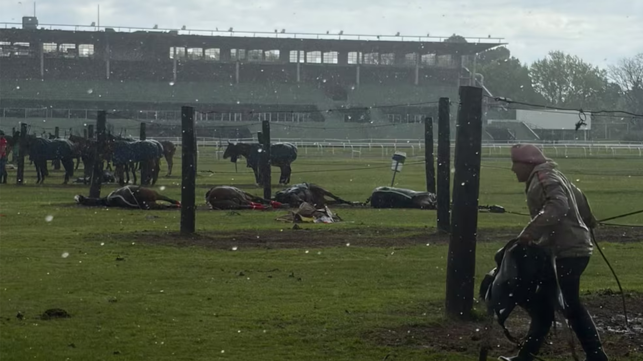 Un rayo mató a cuatro yeguas de polo en el Jockey Club de San Isidro y dejó herido a un cuidador